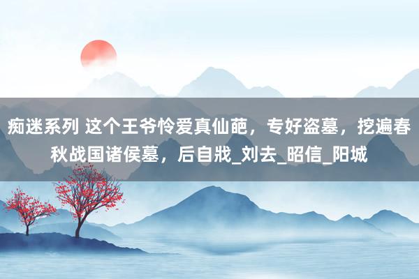 痴迷系列 这个王爷怜爱真仙葩，专好盗墓，挖遍春秋战国诸侯墓，后自戕_刘去_昭信_阳城