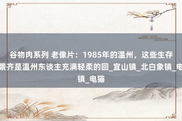 谷物肉系列 老像片：1985年的温州，这些生存场景齐是温州东谈主充满轻柔的回_宜山镇_北白象镇_电猫