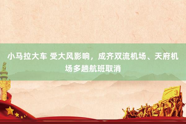 小马拉大车 受大风影响，成齐双流机场、天府机场多趟航班取消