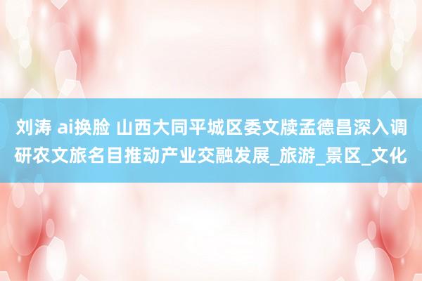 刘涛 ai换脸 山西大同平城区委文牍孟德昌深入调研农文旅名目推动产业交融发展_旅游_景区_文化