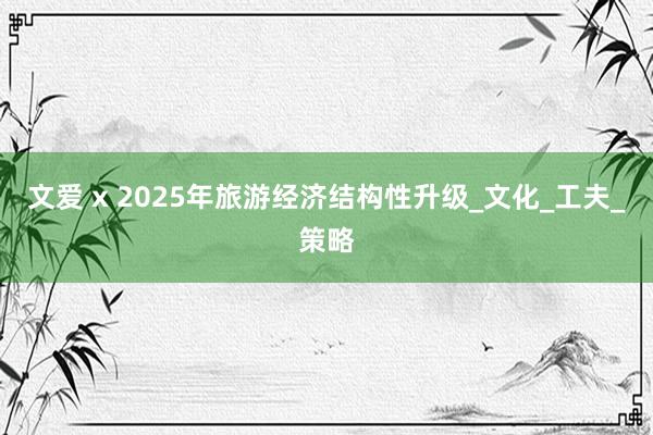 文爱 x 2025年旅游经济结构性升级_文化_工夫_策略