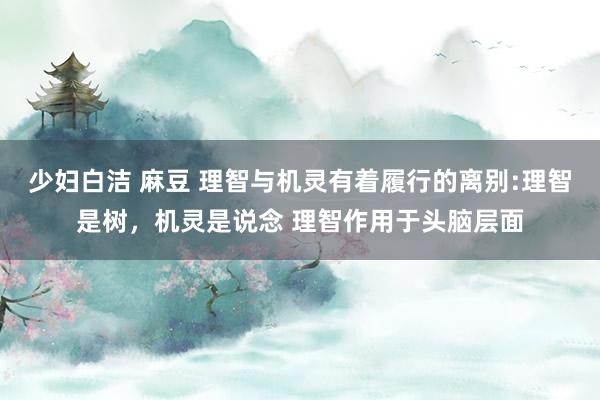 少妇白洁 麻豆 理智与机灵有着履行的离别:理智是树，机灵是说念 理智作用于头脑层面