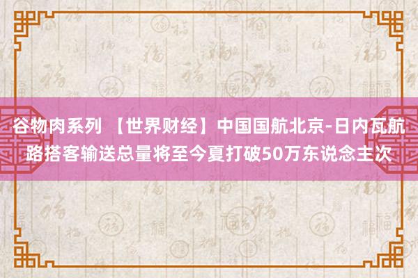 谷物肉系列 【世界财经】中国国航北京-日内瓦航路搭客输送总量将至今夏打破50万东说念主次
