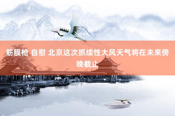 筋膜枪 自慰 北京这次抓续性大风天气将在未来傍晚截止