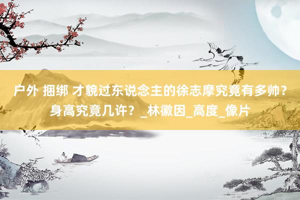 户外 捆绑 才貌过东说念主的徐志摩究竟有多帅？身高究竟几许？_林徽因_高度_像片