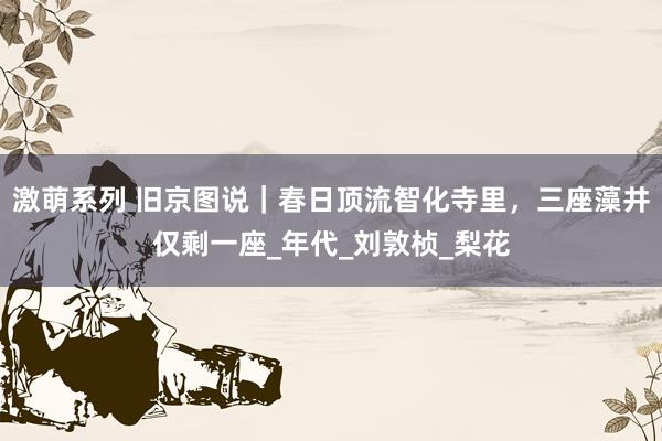 激萌系列 旧京图说｜春日顶流智化寺里，三座藻井仅剩一座_年代_刘敦桢_梨花