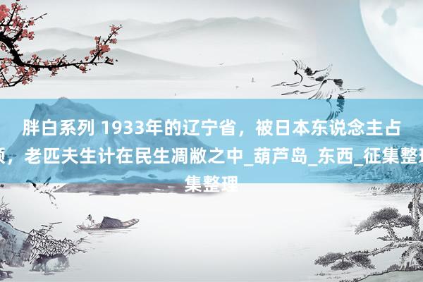 胖白系列 1933年的辽宁省，被日本东说念主占领，老匹夫生计在民生凋敝之中_葫芦岛_东西_征集整理