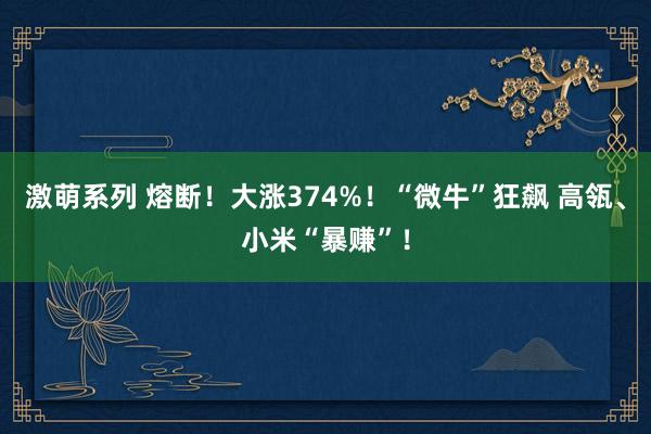 激萌系列 熔断！大涨374%！“微牛”狂飙 高瓴、小米“暴赚”！