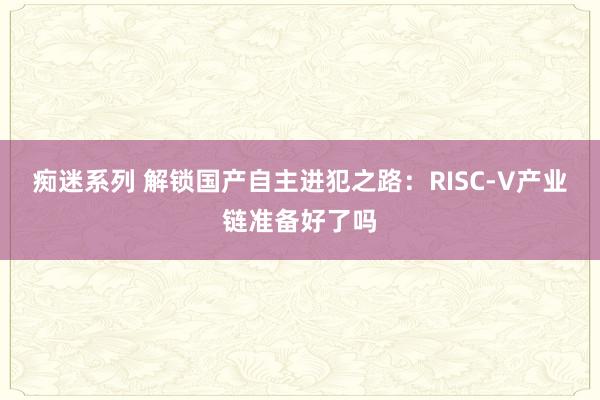 痴迷系列 解锁国产自主进犯之路：RISC-V产业链准备好了吗