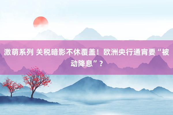 激萌系列 关税暗影不休覆盖！欧洲央行通宵要“被动降息”？