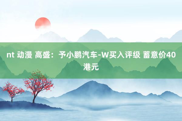 nt 动漫 高盛：予小鹏汽车-W买入评级 蓄意价40港元