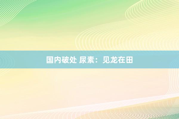 国内破处 尿素：见龙在田