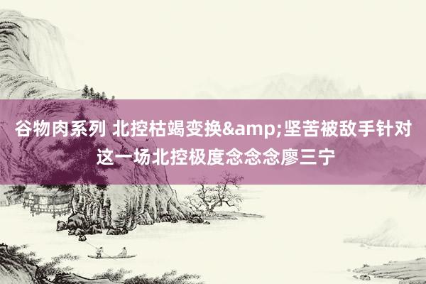 谷物肉系列 北控枯竭变换&坚苦被敌手针对 这一场北控极度念念念廖三宁