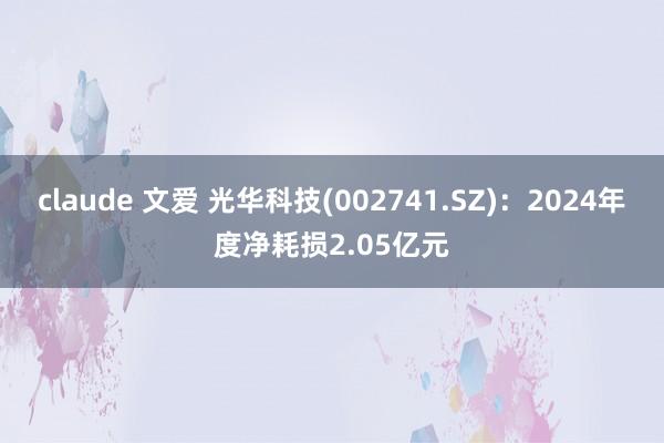 claude 文爱 光华科技(002741.SZ)：2024年度净耗损2.05亿元