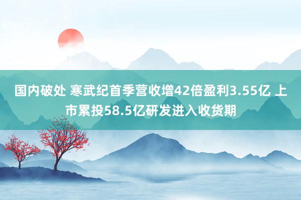 国内破处 寒武纪首季营收增42倍盈利3.55亿 上市累投58.5亿研发进入收货期