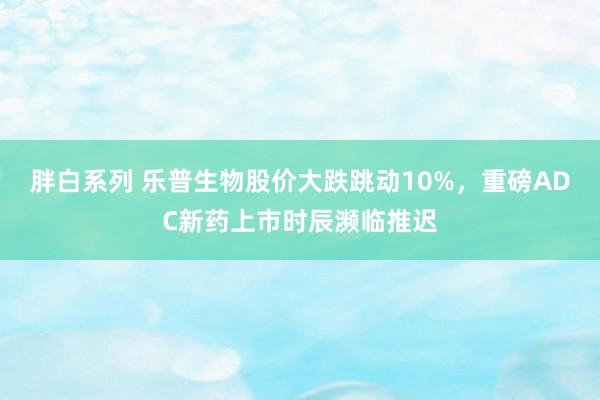 胖白系列 乐普生物股价大跌跳动10%，重磅ADC新药上市时辰濒临推迟