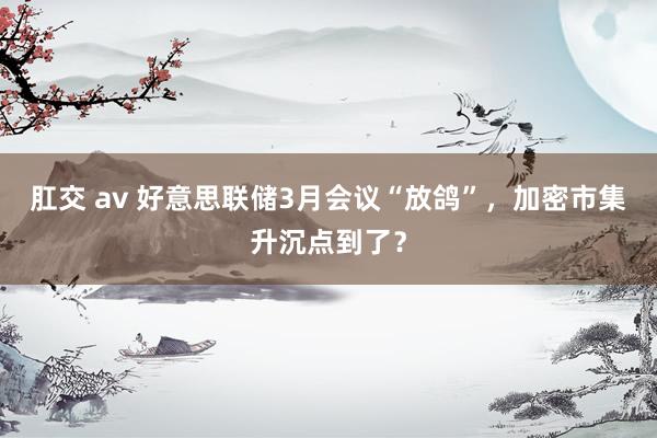 肛交 av 好意思联储3月会议“放鸽”，加密市集升沉点到了？