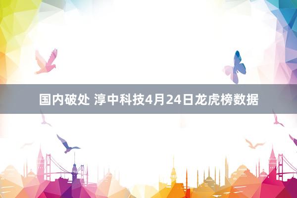 国内破处 淳中科技4月24日龙虎榜数据