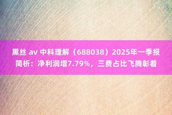 黑丝 av 中科理解（688038）2025年一季报简析：净利润增7.79%，三费占比飞腾彰着