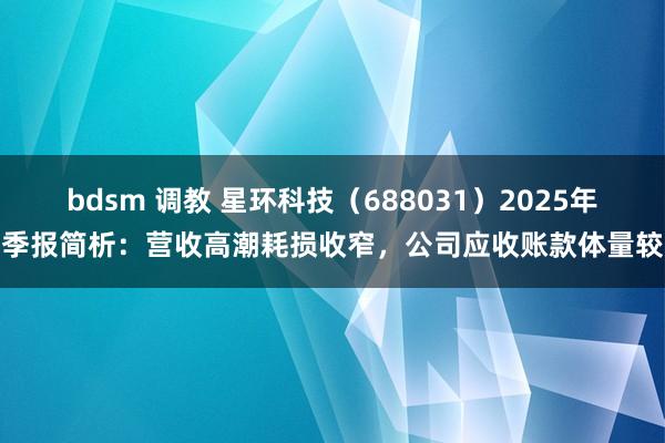 bdsm 调教 星环科技（688031）2025年一季报简析：营收高潮耗损收窄，公司应收账款体量较大
