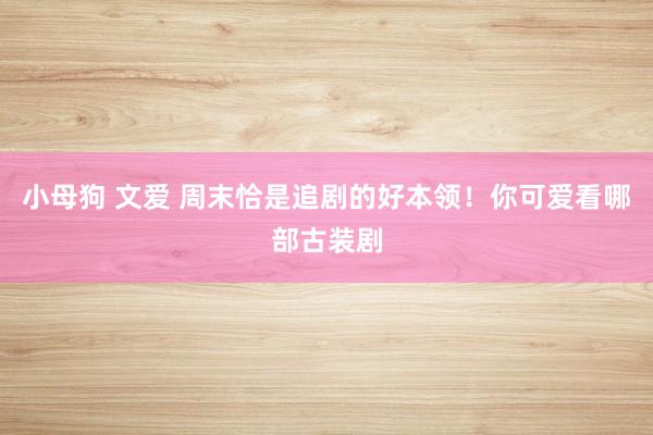 小母狗 文爱 周末恰是追剧的好本领！你可爱看哪部古装剧